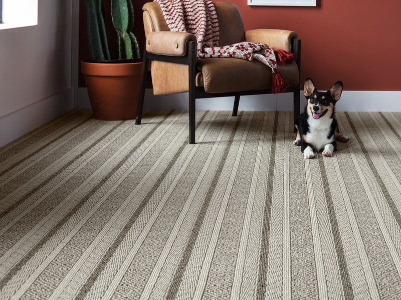 Anderson Tuftex Carpet products from Eastern Floor Covering in Virginia area
